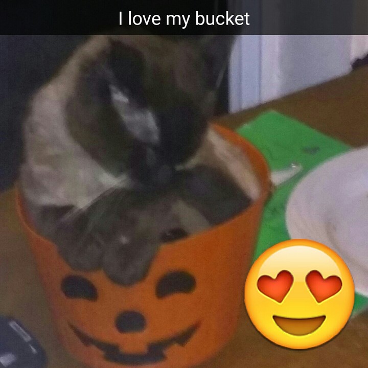 aww