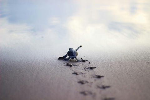 little steps