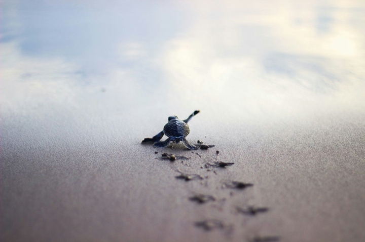 little steps