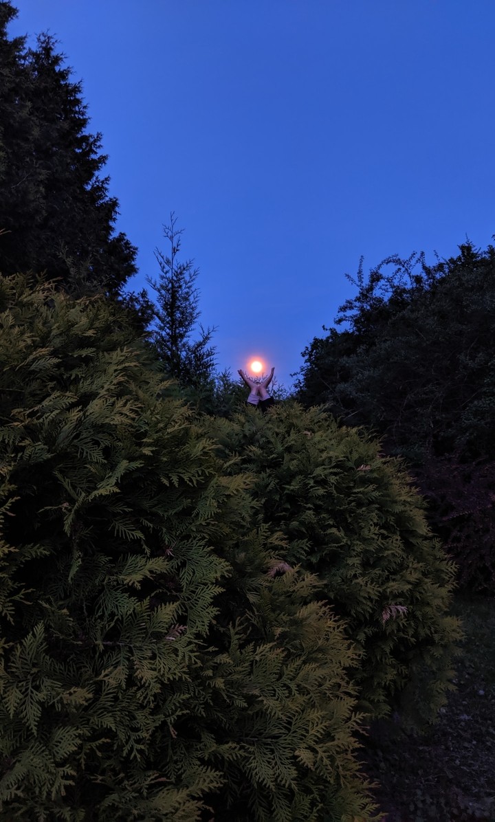 moon in hands