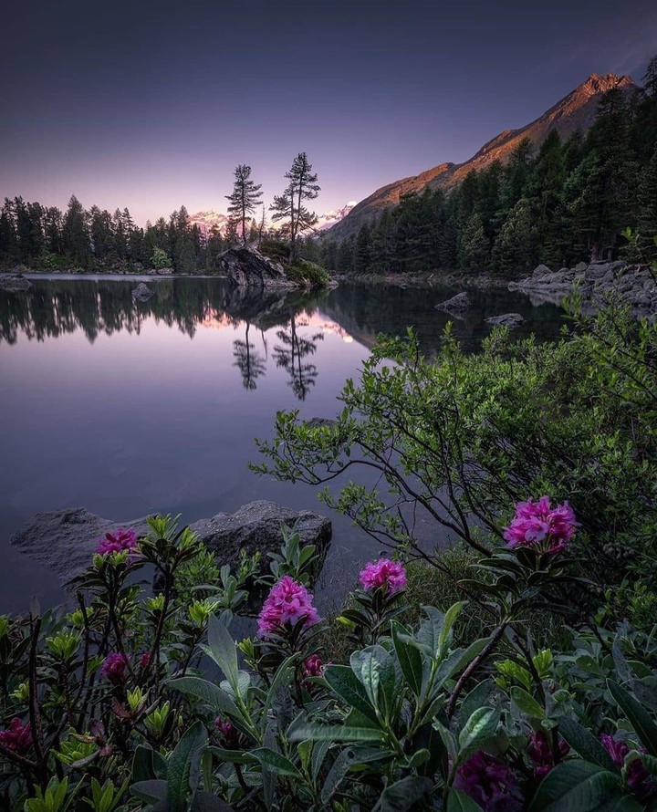 #lake