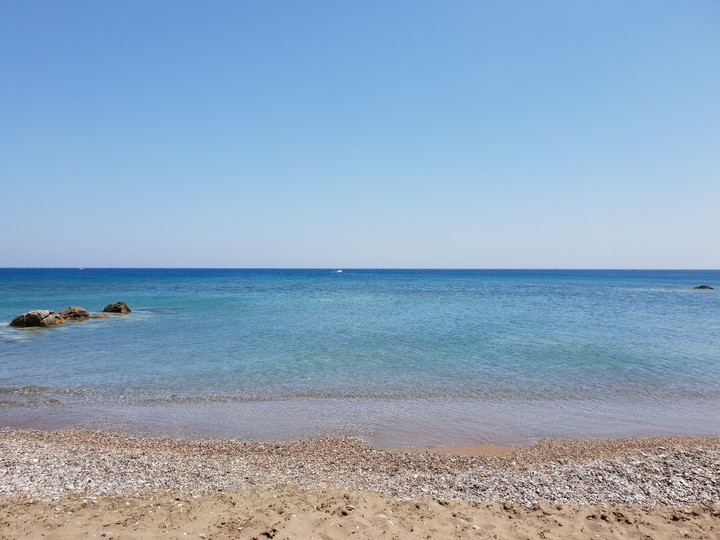 Summer harmony