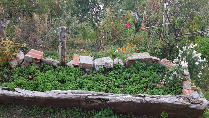 home garden