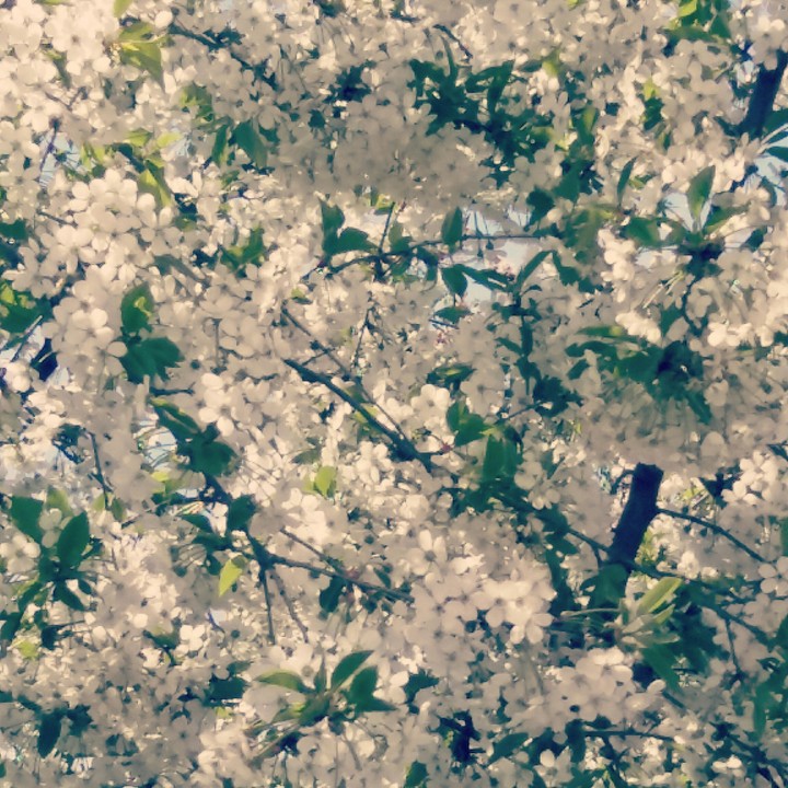 #spring