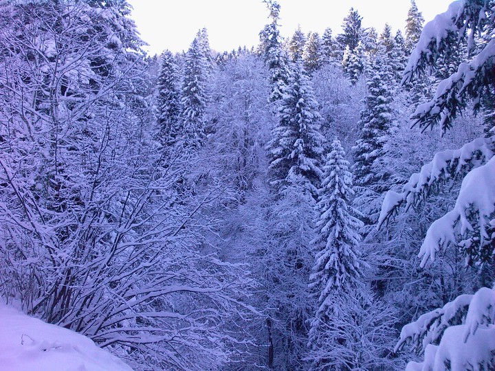 Turkey / Giresun
