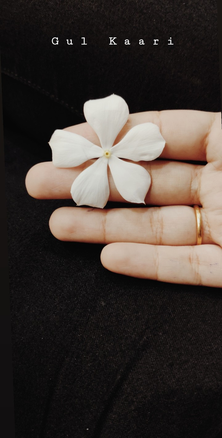 aesthetic