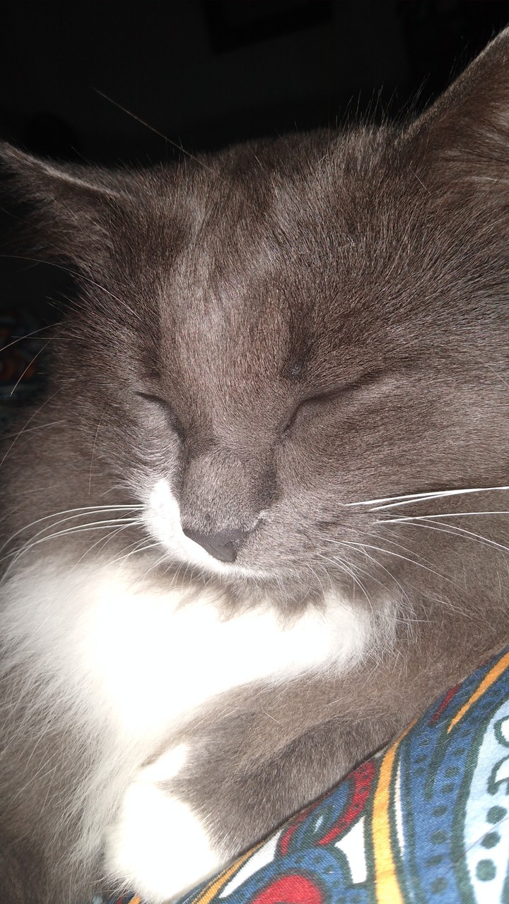 Bonne nuit ??