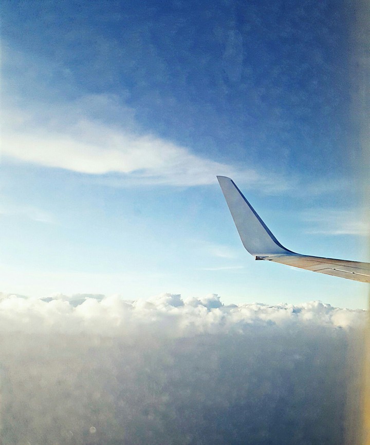 flight to my dreams
