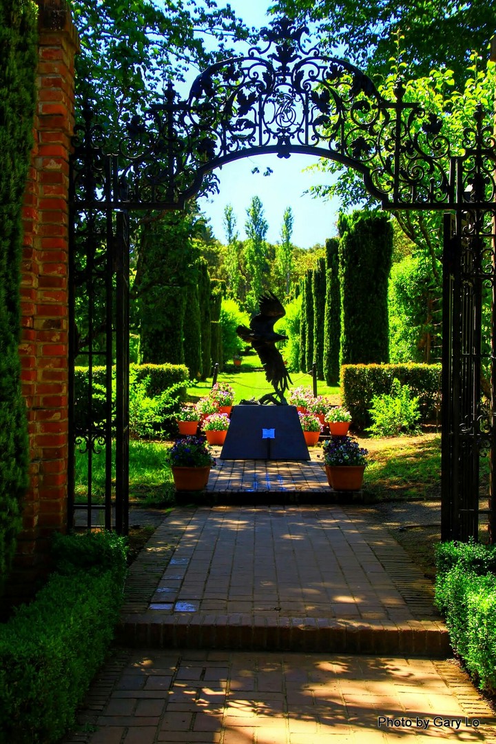 garden