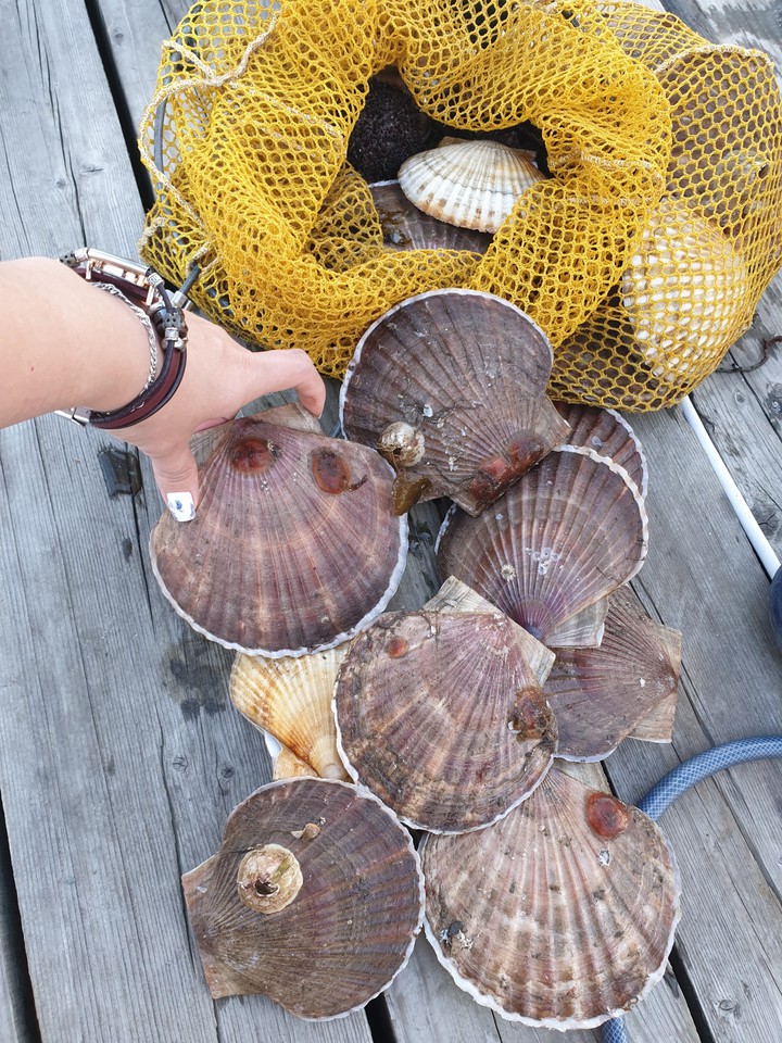 море
