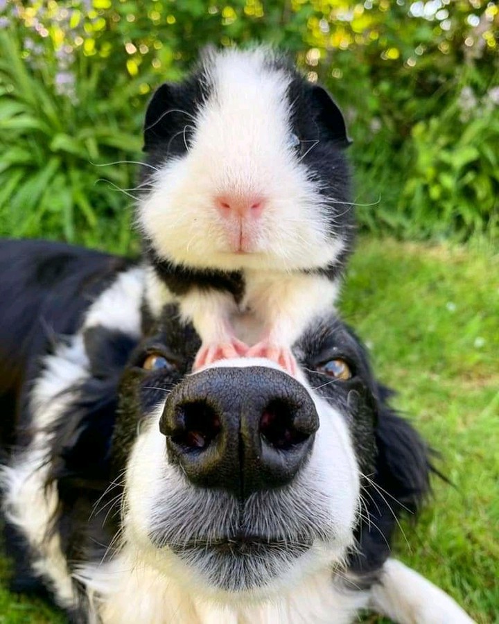 Friendship