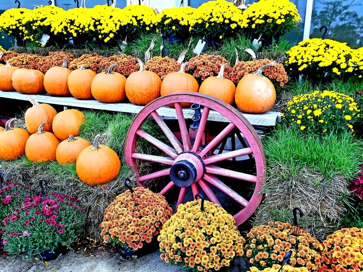 Autumn