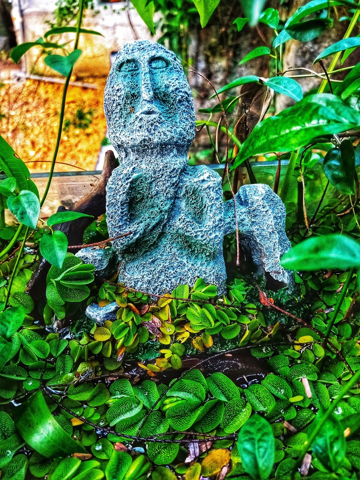 nature