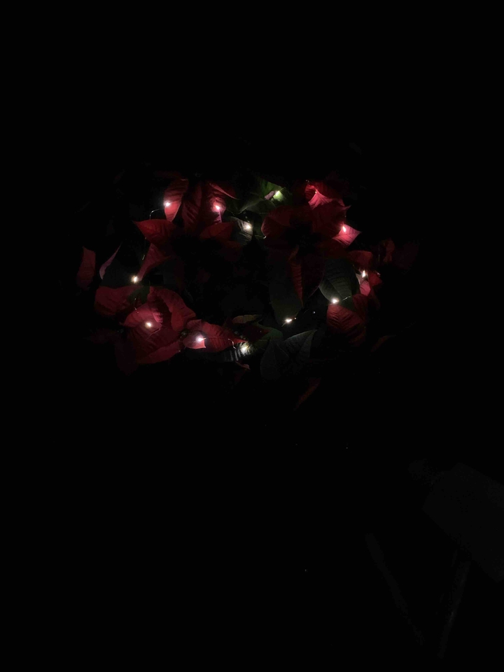 Christmas is coming 1/2