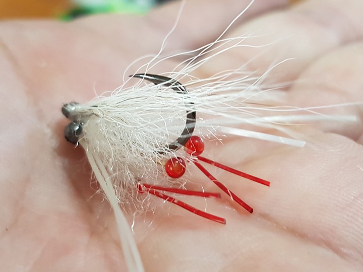 Mosca