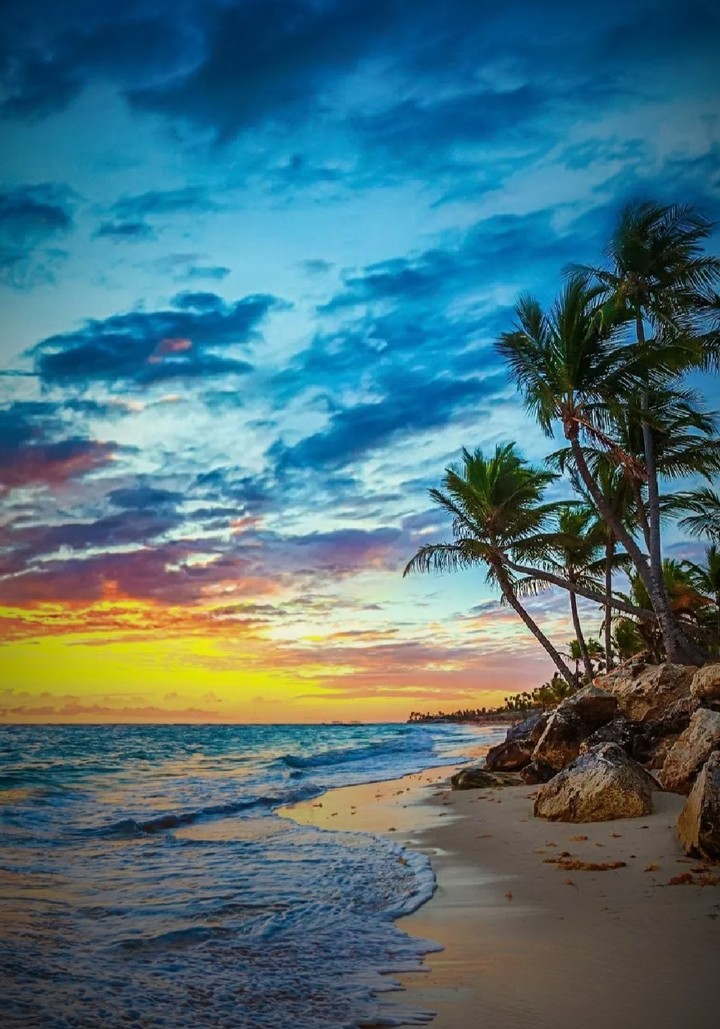picture of nature
