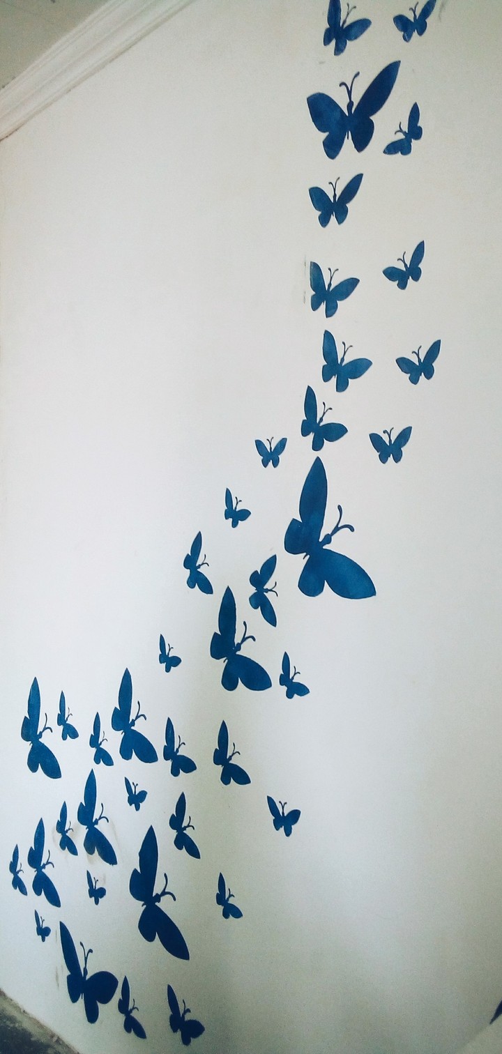 butterfly