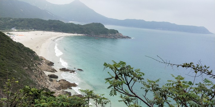 costal