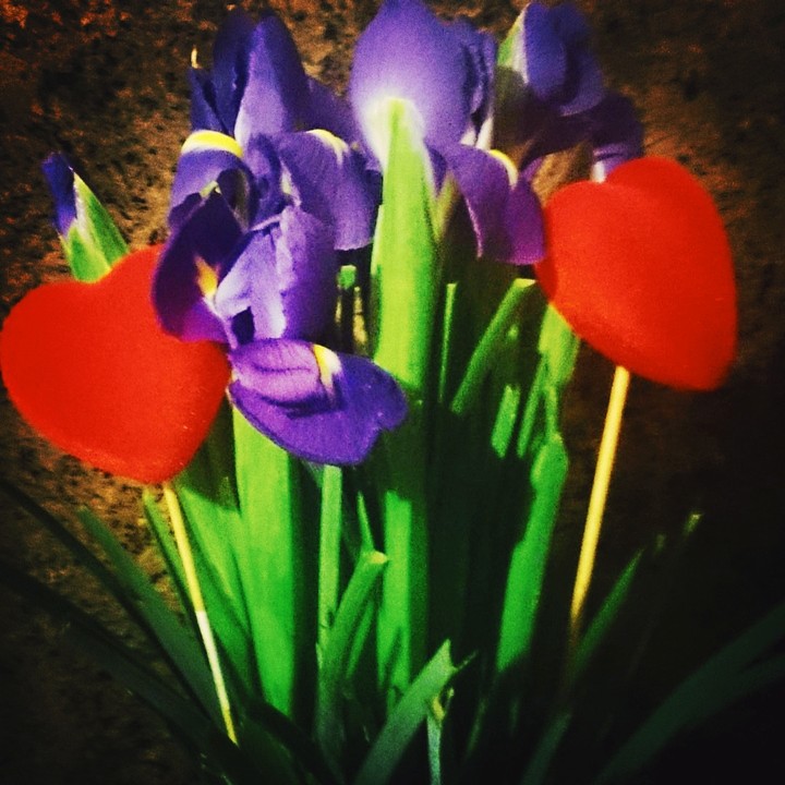 iris