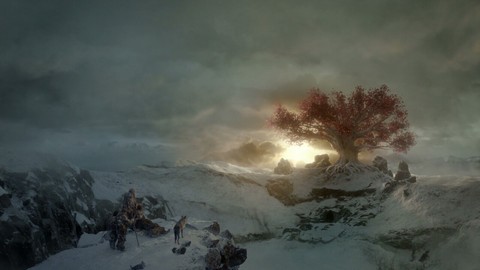 sun behind the tree