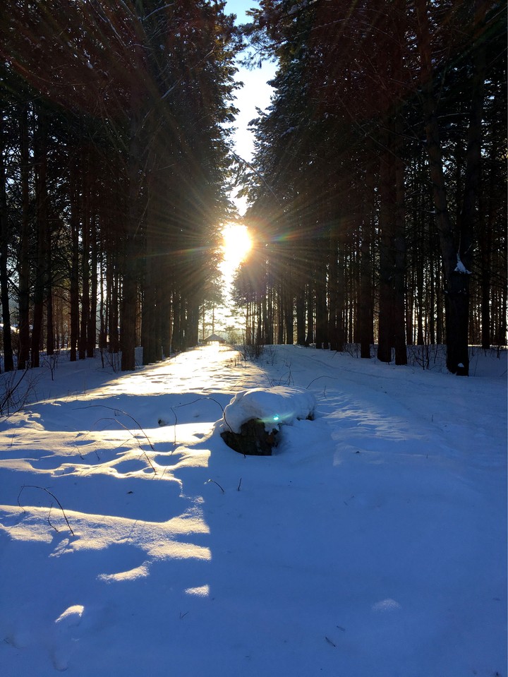 snow