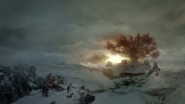 sun behind the tree