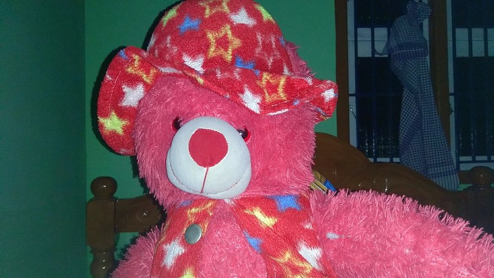teddy