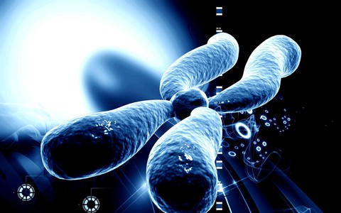 chromosome