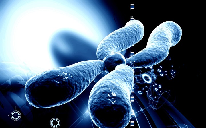 chromosome