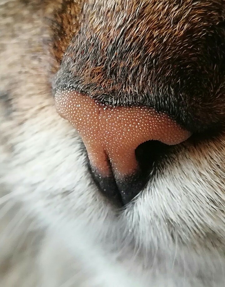 ?