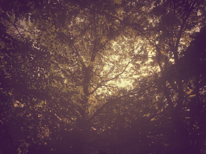 Bleeding Light