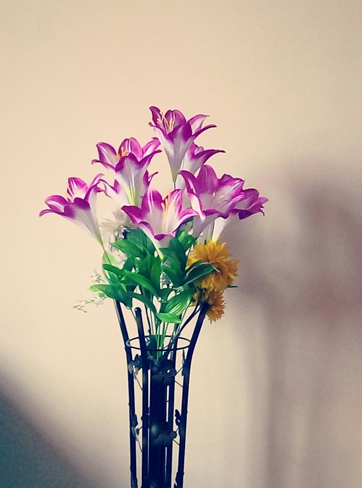 sunset vase flowers