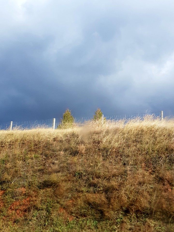 storm