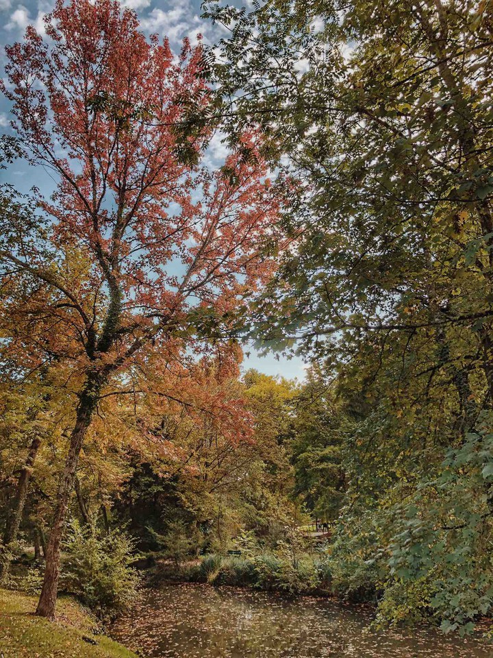 automne