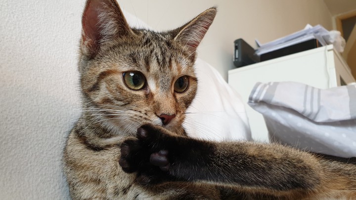 foot cleaning