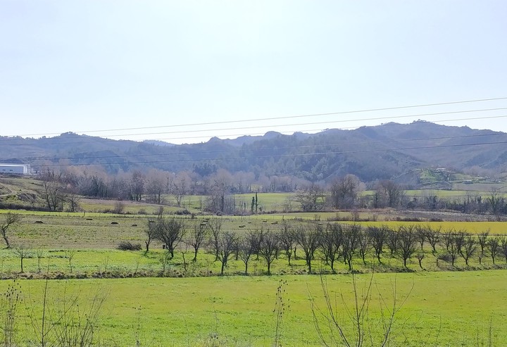nature