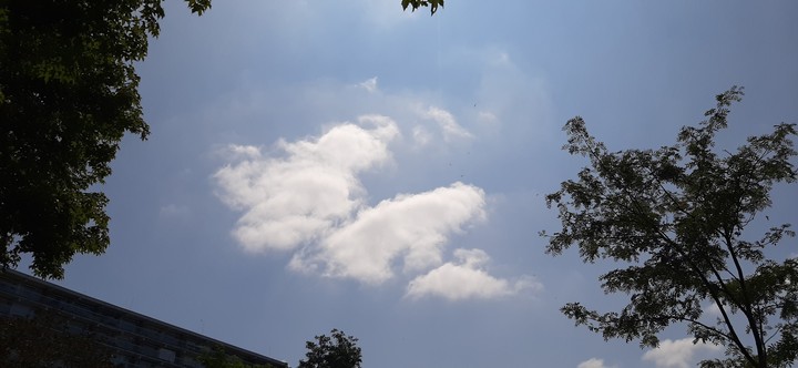 doggo cloud
