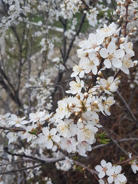 Waking from winter
