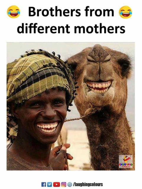 funny