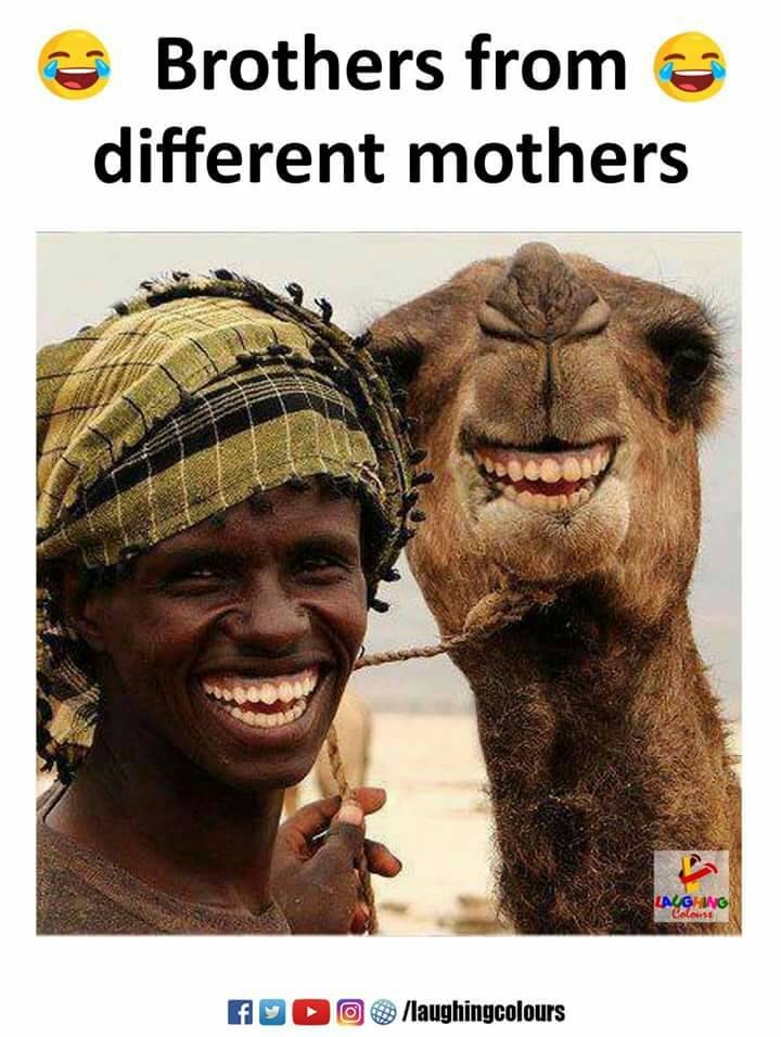 funny