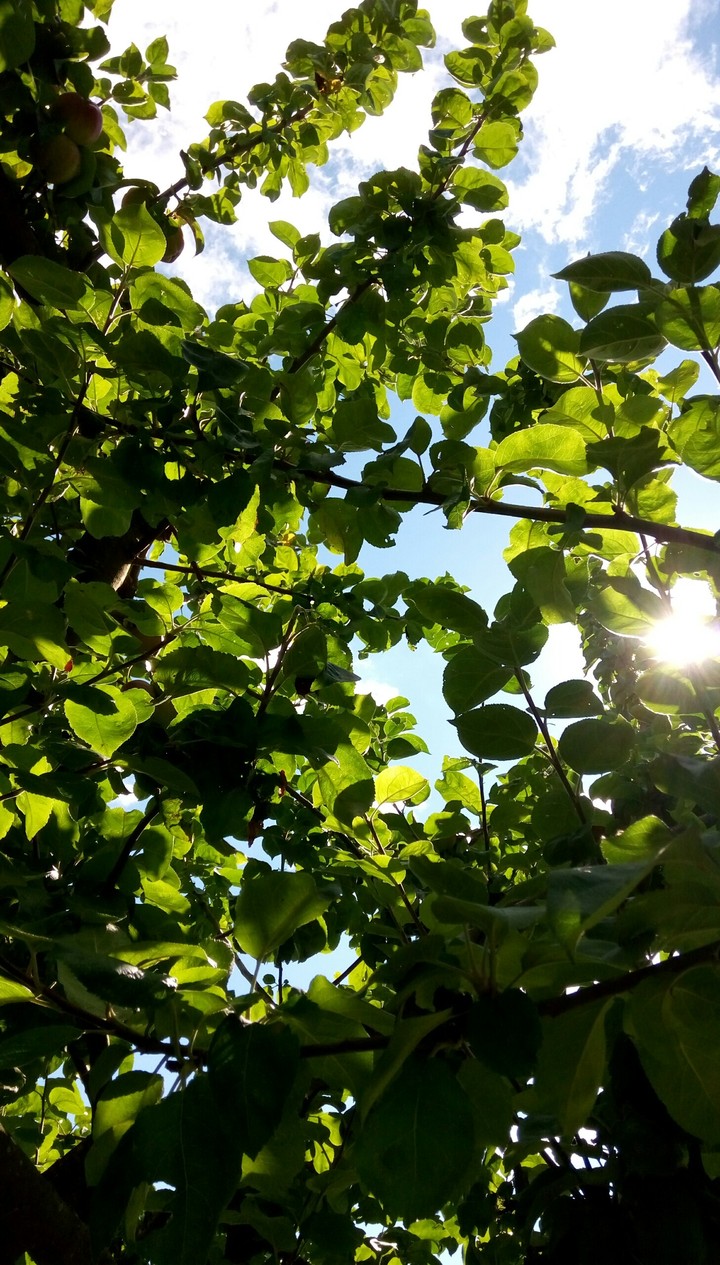 day light