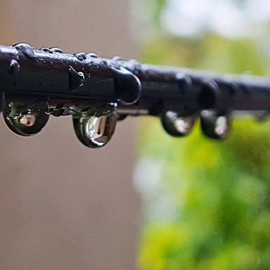 Rain drops