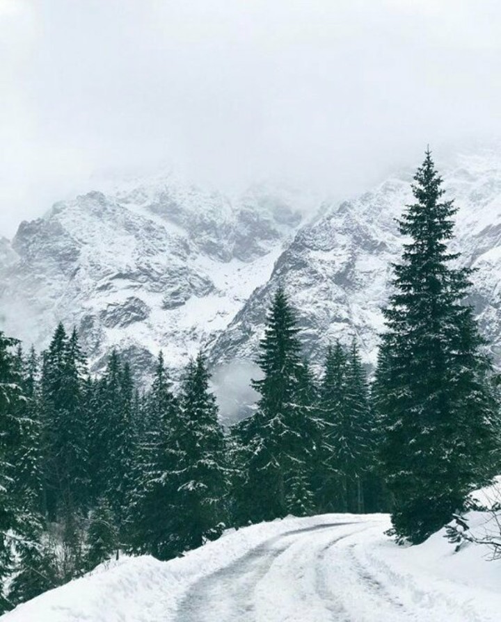 winter