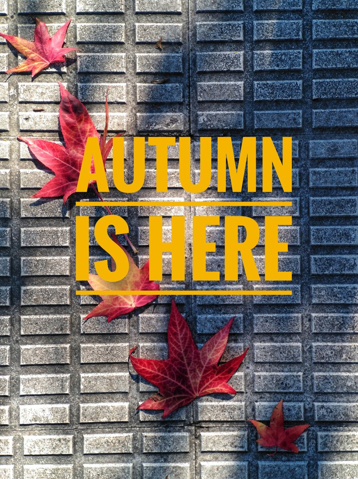 autumn is here