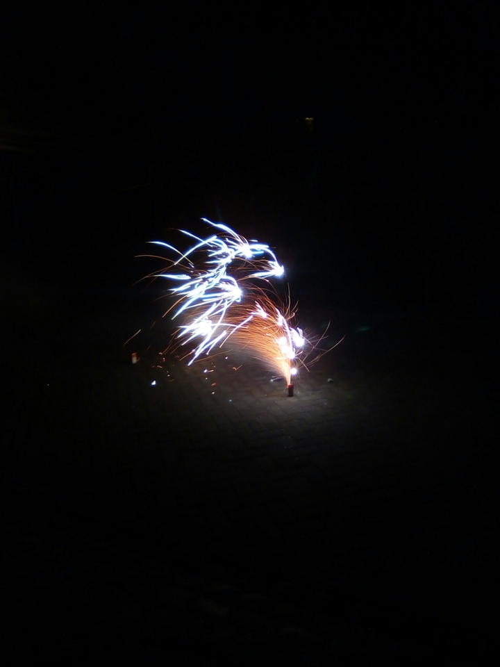 silvester
