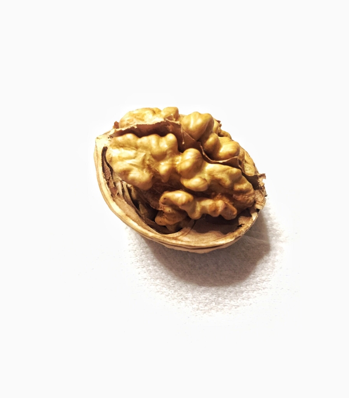 walnut