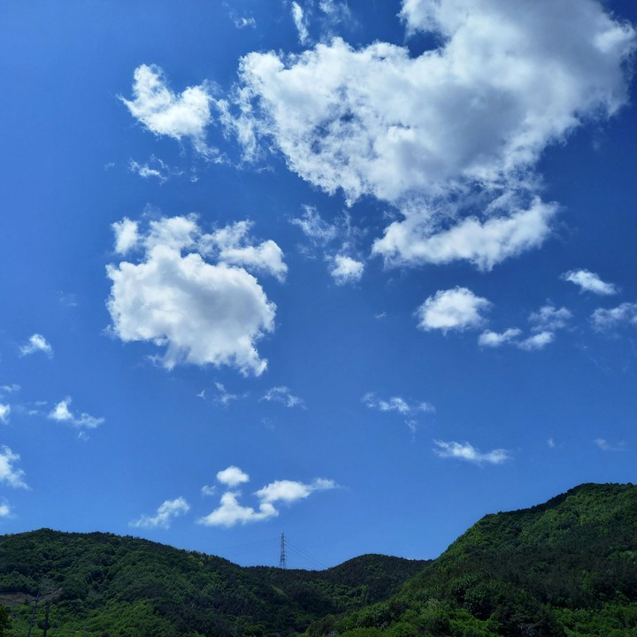 nature