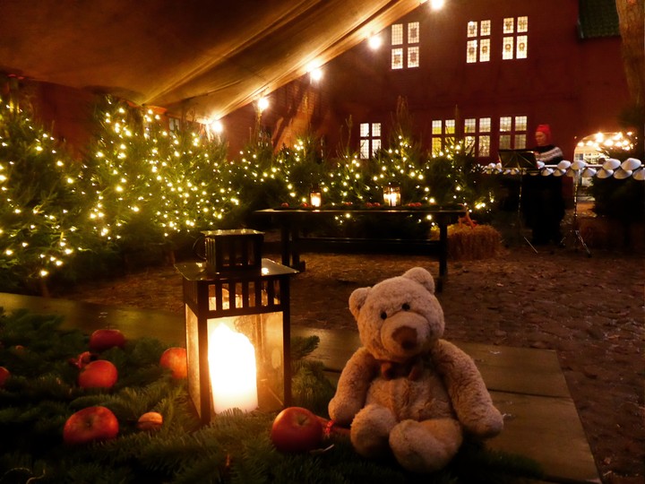 teddy bear in a christmas market