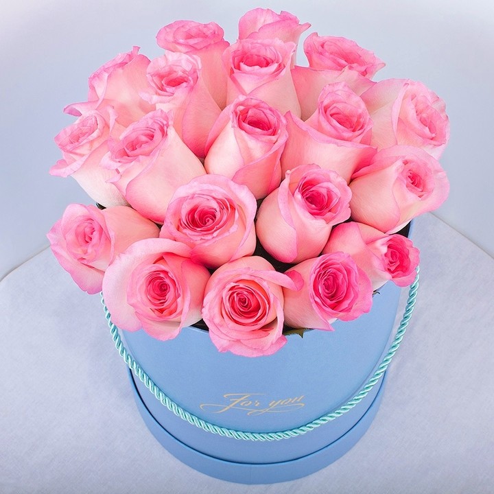 rose