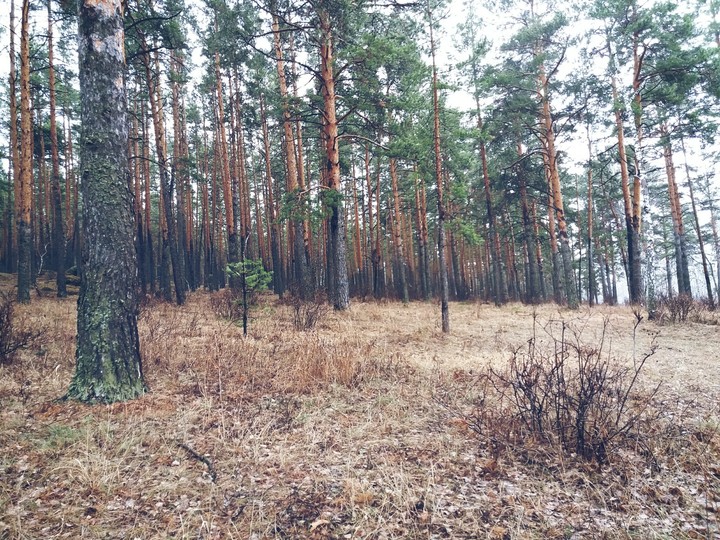 Я валантёр был на соревнованиях вот сфоткал